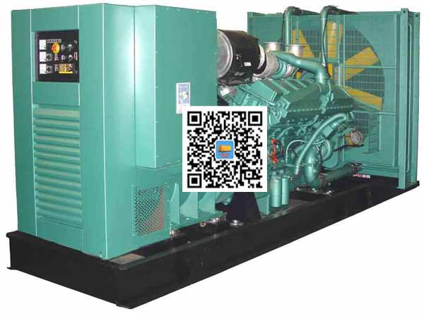 南木林笼型异步发电机的电力电子控制技术