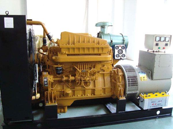 南木林有哪些有效的方法可以预防柴油发电机组的蓄电池出现硫化现象？